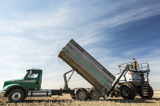 Farmer standing on top of hopper being filled with truck in a field with blue sky and clouds; Beiseker, Alberta, Canada