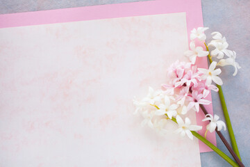 Spring flowers hyacinths and paper for text on a decorative colorful background. Congratulations on Mother's Day, birthday, Women's Day.