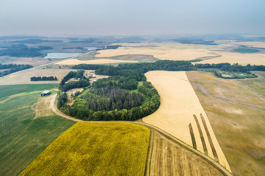 Aerial view of a patch work of different crops in a field, including sunflowers in bloom, and golden grains, with pockets of treed areas; Erickson, Manitoba, Canada