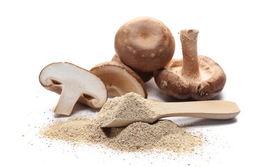 Fresh shiitake mushroom and (shii) pile powder in wooden spoon isolated on white