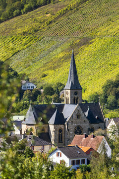 Stone church with clock tower in village valley with steep vineyard slopes in the background; Serrig, Germany