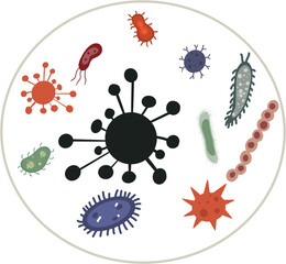  immune defence system, colour illustration