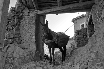 La grande traversée de l’Atlas au Maroc, 18 jours de marche. Traversée de villages typiques...