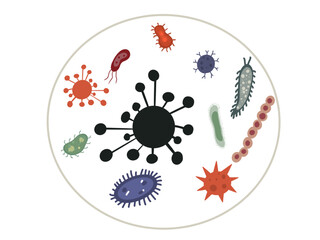  immune defence system, colour illustration