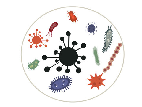  immune defence system, colour illustration