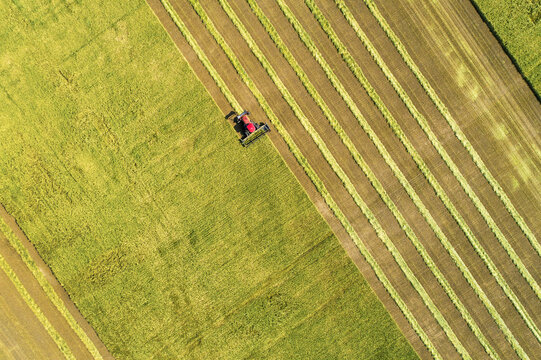 View from directly above of a swather cutting a barley field with graphic harvest lines; Beiseker, Alberta, Canada