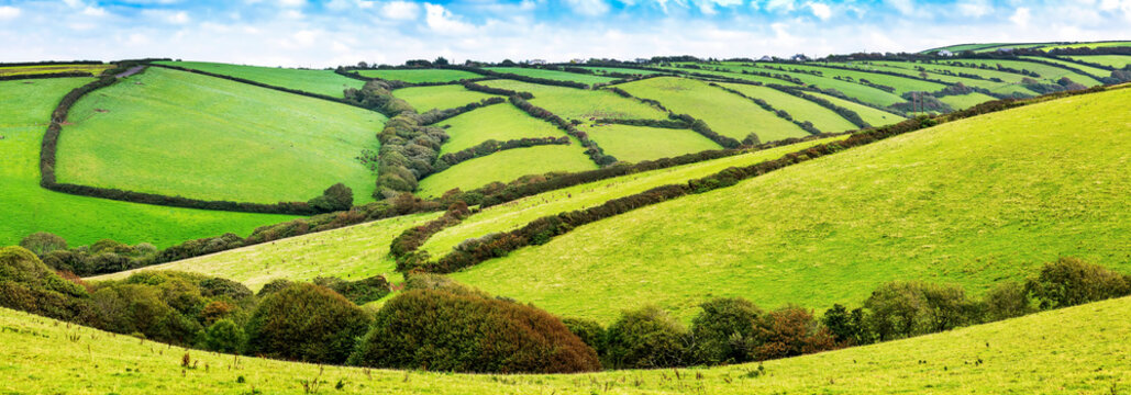 Panorama of hilly patchwork of green rolling fields bordered by trees and shrubs with blue sky and clouds; Cornwall County, England
