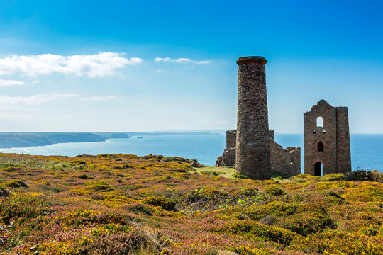 Old stone building with ruins of a tin mine on colourful bushed hilltop and sea, blue sky and clouds in the background; Cornwall County, England