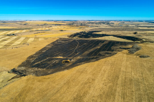 Aerial View Of The Aftermath Of A Controlled Burn In A Stubble Field With Blue Sky; Alberta, Canada