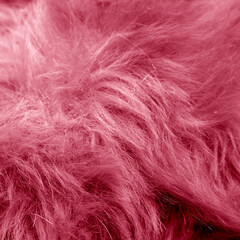 Color of the year 18-1750 Viva Magenta color.The pink fur background