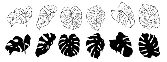 Set of linear sketches and silhouettes of tropical monstera leaves.Vector graphics.