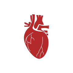 Vector illustration of human heart in red color.