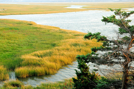 Scenic view of a salt marsh in the Cape Cod National Seashore.; Cape Cod National Seashore, Eastham, Massachusetts.