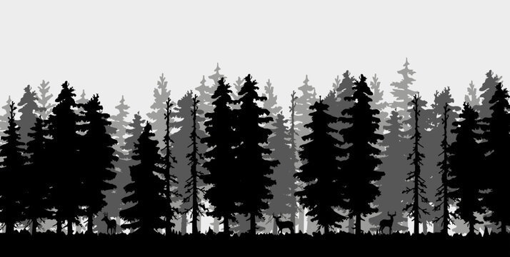 Spruce silhouette forest with deer