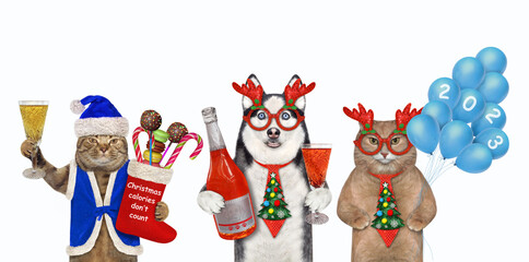 Dog husky and cats with balloons