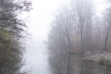 Fog over the pond in the forest on a frosty winter morning.
