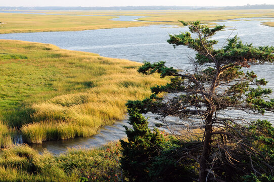 Scenic view of a salt marsh in the Cape Cod National Seashore.; Cape Cod National Seashore, Eastham, Massachusetts.