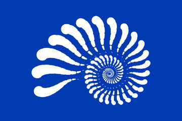 Seashell nautilus symbol design template