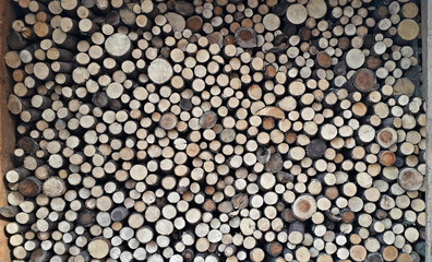Stacked weathered dried thin logs outdoor
