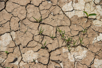 Cracked surface of earth and soil due to global warming and emission of carbon dioxide, save the environment 