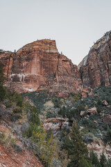 Fototapeta na wymiar Incredible mountain view landscapes in the valley at Zion National Park in Utah United States. There are amazing colors of orange and yellows at all times of the day.