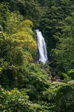 Trafalgar Falls on the island of Dominica in the Caribbean, an incredible double waterfall, one of which runs hot; Dominica, West Indies