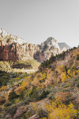 Incredible mountain view landscapes in the valley at Zion National Park in Utah United States. There are amazing colors of orange and yellows at all times of the day.