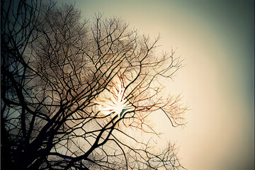 Obraz premium Sun Shining Through Tree Branches - AI Art
