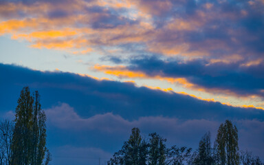 Sunlit dark clouds at sunset, trees in foreground