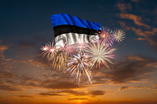Flag of Estonia and Holiday fireworks in sky