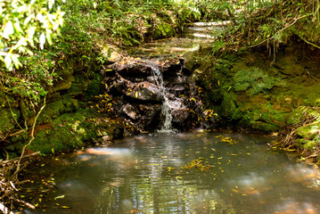 Small waterfall in forest in Brazil.