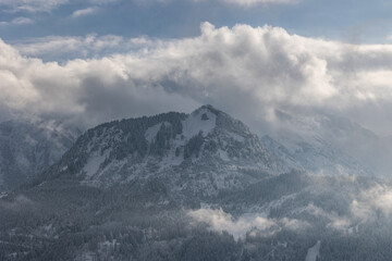 Obraz premium Nebelig