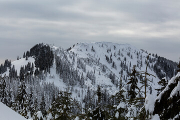 Wonderful wintry landscape of Marmaros, the Carpathians