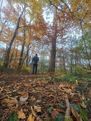 Young sporty male hiker on a forest path in autmn