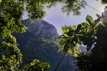 Saint Lucia Pitons view through the jungle at Caribbean island
