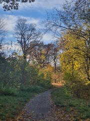 Naklejka na ściany i meble Idyllic autumn hiking trail in the forest