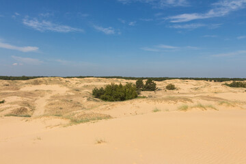Fototapeta na wymiar View of the Oleshkiv sands - the Ukrainian desert near the city of Kherson. Ukraine