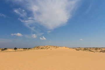 View of the Oleshkiv sands - the Ukrainian desert near the city of Kherson. Ukraine