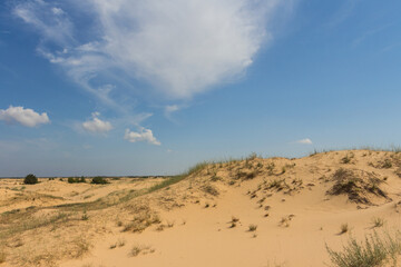 Fototapeta na wymiar View of the Oleshkiv sands - the Ukrainian desert near the city of Kherson. Ukraine