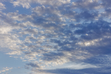Fototapeta premium Summer evening sky in the picturesque clouds, lit by the rays of the setting sun.