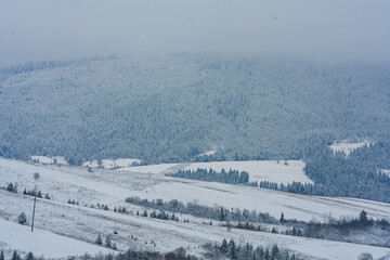 Fototapeta premium winter landscape with snow
