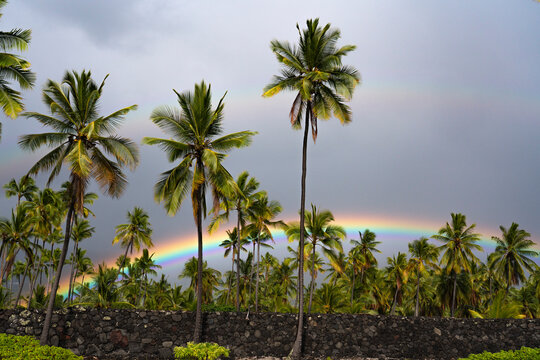 Palm trees, grey sky and double rainbows at Pu'uhonua O Hōnaunau National Historical Park, USA