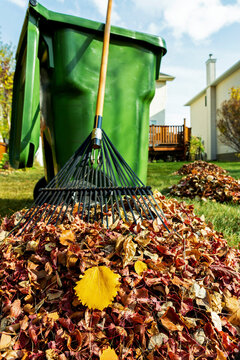 Close up of a pile of raked leaves with rake and green compost bin in the background in a yard; Calgary, Alberta, Canada