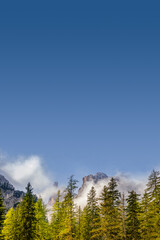 Cover page with magical Dolomite peaks, pine and spruce forests, valleys at blue sky and clouds, South Tyrol, Italy, with copy space and gradient background