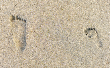 Footprint footprints on the beach sand by the water Mexico.
