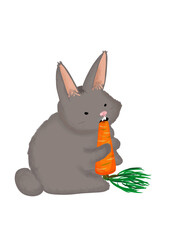 szary królik z marchewką - obrazy, fototapety, plakaty