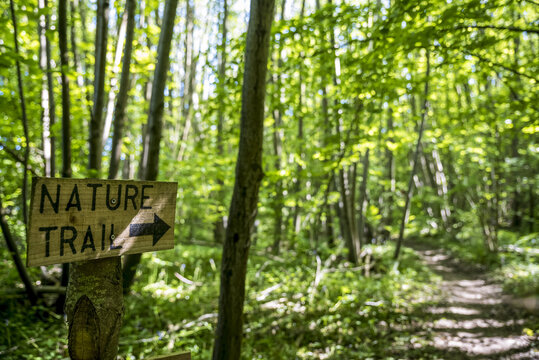 Nature trail sign pointing to trail; Meopham, Kent, England