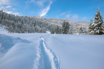 Fototapeta na wymiar Path in the snow on a beautiful sunny winter day. Winter snowy landscape in Slovenia.