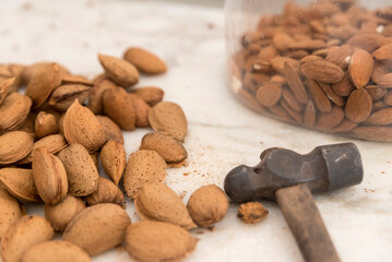 Hammer on counter for shelling almonds (Prunus dulcis) from Benissanet; Catalonia, Tarragona, Spain