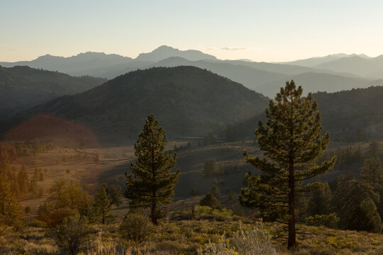 A scenic view of mountains forested in evergreen trees in the El Dorado National Forest.; El Dorado National Forest, California